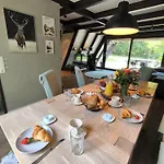 Waldnest Eifel *
